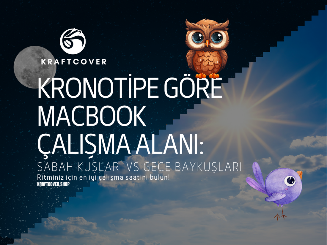 Kronotipe Göre MacBook Çalışma Alanı: Sabah Kuşları vs Gece Baykuşları